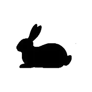 Jager - купить винтовку Егерь